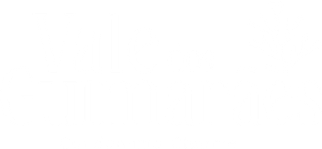 Vale dos Guimarães